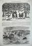 1856 Bear Hunting Russia Pig Sticking Bombay Presidency