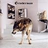 Bild des Albums von Grinderman