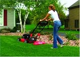 Lawn Stryper Lawn Striping System (Red)