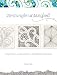 Zentangle Untangled: Inspiration and Prompts for Meditative Drawing