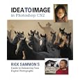 Idea to Image in Photoshop CS2: Rick Sammon's Guide to Enhancing Your Digital Photographs
