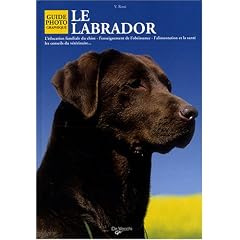 Le Labrador