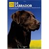 Le Labrador