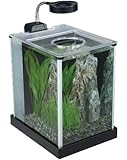 Fluval SPEC Desktop Glass Aquarium, 2-gallon