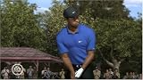 Tiger Woods PGA Tour 08