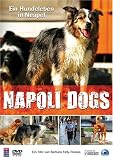 Eigenschaften   / Napoli Dogs - Ein Hundeleben in Neapel