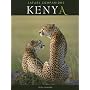 Kenya: Photo Safari Companion