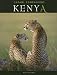 Kenya: Photo Safari Companion