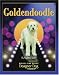Search : Goldendoodle (Designer Dog)