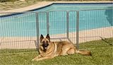 Precision Pet 38 in. Courtyard Kennel Silver Crackle