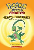 Battle Frontier: Grovyle Trouble (Pokemon)
