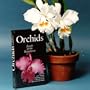 Beginners Guide to Growing Orchids DVD