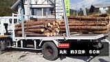 カラマツ丸太（薪用原木）2ｍ物　3㎥　末口約10～20ｃｍ×約60本　長野県　茅野市・諏訪市・原村・女神湖周辺・富士見町の地域限定販売