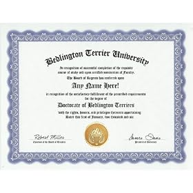 Bedlington Terrier Degree: Custom Gag Diploma Doctorate Certificate (Funny Customized Joke Gift - Novelty Item)