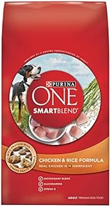 Purina ONE SmartBlend Dry Dog Food, Chicken & Rice Formula, 8-Pound Bag, Pack of 1