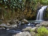 Purchase Grenada Art