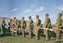 Para and Commandos