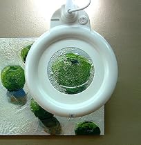 Daylight Ultra Slim Lens #1 (For use with the Daylight Ultra Slim Fluorescent Magnifier Lamp)