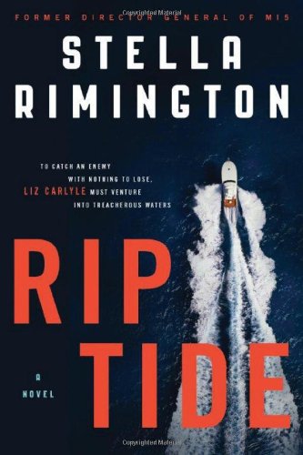 Rip Tide: A Novel