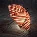 Bright Night Monsoon BN-007 Illuminated Lightweight Umbrella