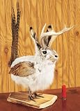 Flying Jackalope Buck