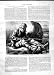 1870 Duck Shooting Sport Man Gun Smoking Pipe Print