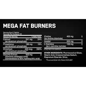Mega Fat Burner Tabs