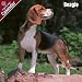   - Beagle 2009 Wall Calendar