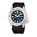 Seiko Men’s Dive Watch #SHC043
