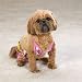Casual Canine Maui Flowers Dog Bathing Suit (Dog Bikini) - Medium