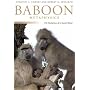 Baboon Metaphysics: The Evolution of a Social Mind