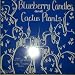blueberry candles & cactus plants LP