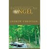 Entertaining An Angel