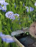Revue Association Dourdon  / L'or bleu : Le lin au pays de Landerneau-Daoulas