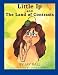 Books : Little Ip and the Land of Contrasts