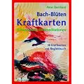 Bach-Bl�ten Kraftkarten: Schamanische Heilmeditationen