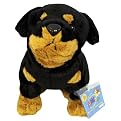Webkinz Rottweiler with Trading Cards