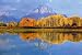 Large 35x23 inch Scenic Poster "Moran Mountain"
