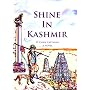Shine in Kashmir by D. Chris Castagna