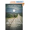 Walk to Beautiful: The Power of Love and a Homeless Kid Who Found the Way
