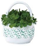 Irish Flower Basket.