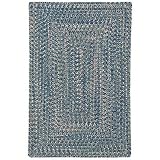 Capel Rugs Agua 4x6 Seafoam Area Rug