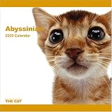 Abyssinian 2009 Wall 12''x12'' Calendar by THE CAT Artlist Collection