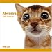   - Abyssinian 2009 Wall 12''x12'' Calendar by THE CAT Artlist Collection