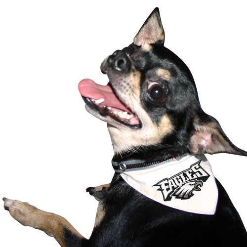 Philadelphia Eagles Pet Collar Bandana Small