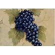 Magic Slice Non-Slip Flexible Cutting Board, Party Size 7.5" x 11" , Grapes by Naomi McBride