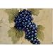 Magic Slice Non-Slip Flexible Cutting Board, Party Size 7.5" x 11" , Grapes by Naomi McBride