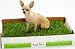 2 FRESH PATCH Real Grass Boxes (1 Month Supply)