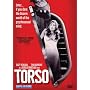 Torso