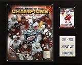 NHL Red Wings 2007-08 Stanley Cup Champions Plaque